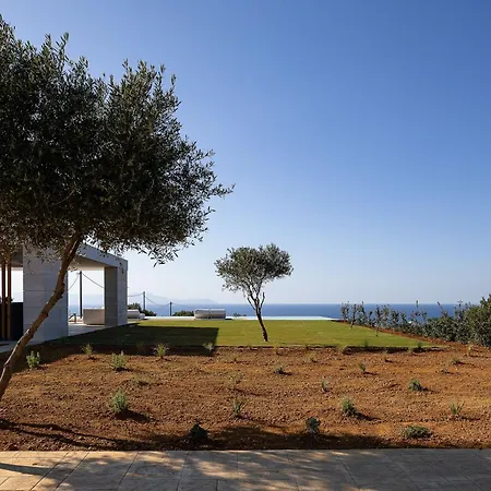 Oliva D'oro - Sunset Gaze By Etouri *