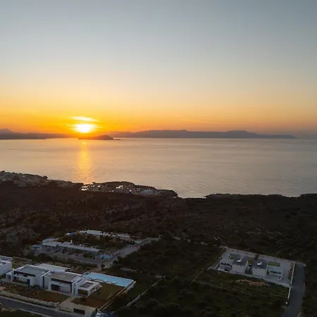 Oliva D'oro - Sunset Gaze By Etouri *